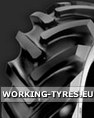 Dunlop TG42 12.5/80-18 10PR TL