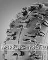 Gomme Fresaneve - KingsTire KT 805 13x5.00-6 2PR TL