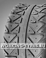 Maxxis C9203 Goldspeed 290/50-12 50N TL