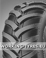 Motocoltivatori/Trattorini - Trelleborg T421 420/55-17 133A8 TL
